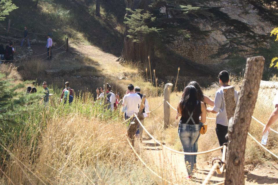 12227703_943604255713732_1704008418283845763_n