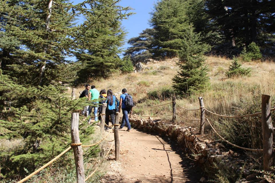 12247007_943604862380338_1547886953129192221_n